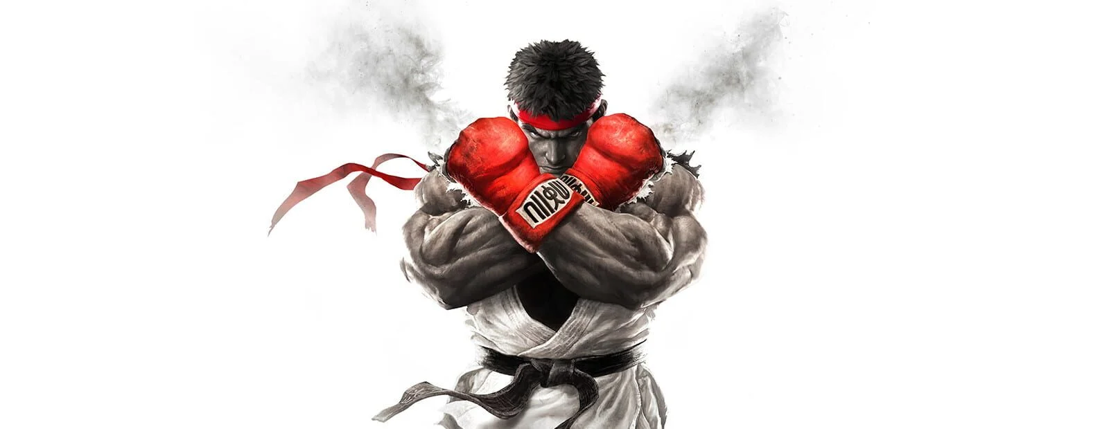 Key art for Street Fighter V